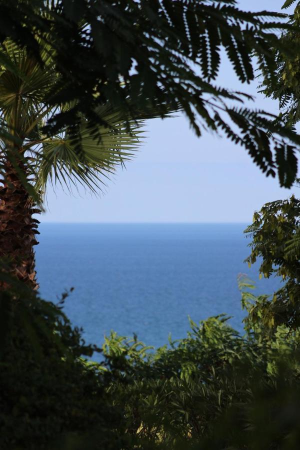 2149-Amazing Groundfloor 3 Bedrooms On Golf, Pools Alcaidesa Exteriér fotografie